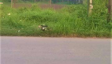 Di Jual Lahan Luas 1100m di Rawa Sambung, Tambun Utara, Bekasi