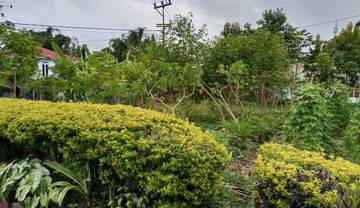 Dijual Tanah Bentuk Kotak di Ruteng Ntt 