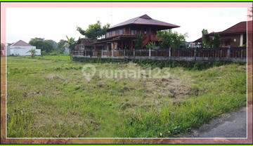 Jogja Utara Tanah Murah Jl Damai Bonus Fasum