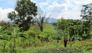 Tanah Dijual Lokasi Strategis View Teraseri Sawah Daerah Berkembang Lingkungan Asri di Hegarmanah Cicalengka Bandung Timur