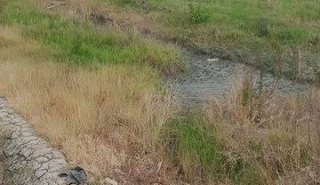 Dijual tanah  bagus perumahan di cikarang sukatani   nego