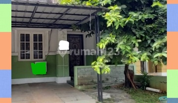 Rumah rapi , bagus