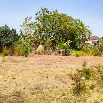 Tanah Jogja Shmp Jl. Raya Magetan, Harga 1 Jtan m