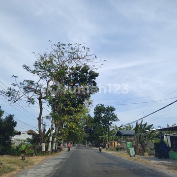 Tanah Murah Magetan Maospati, Dekat Jalan Raya Barat Maospati