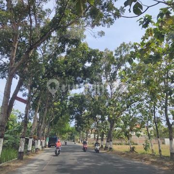 Tanah Murah Magetan Maospati, Dekat Jalan Raya Barat Maospati