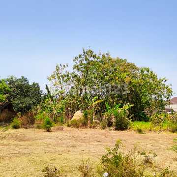 Jual Murah, Tanah 5 Menit Stasiun Ka Barat Kabupaten Magetan 