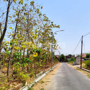 Tanah Murah Prospek Kost Magetan 300 M Jalan Raya Barat Maospati 