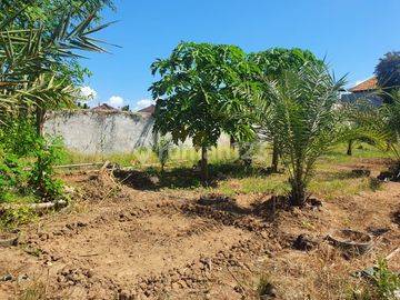 Lahan 56,5 are disewakan di Jalan By Pass Sanur