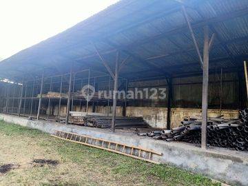 Tanah Luas Dengan Lokasi Strategis di Cirebon. Tna