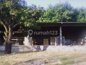 Tanah Luas Dengan Lokasi Strategis di Cirebon. Tna