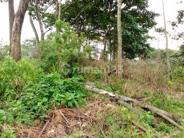 Dijual Murah Tanah di Majalengka, Jawa Barat 