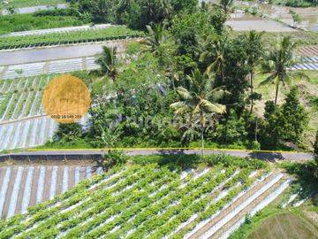 Tanah Pinggir Parit View Sawah Gunung Akses Mudah Donokerto Turi