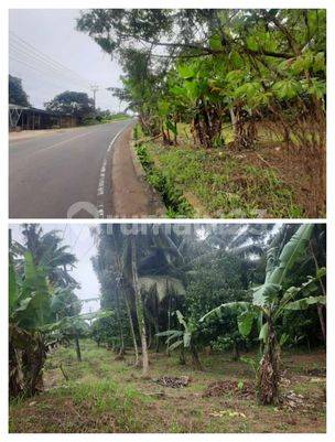Tanah 2500 M Pinggir Jalan Raya Labuan Pandeglang