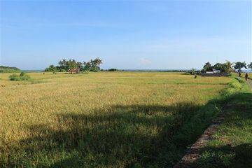 Dijual Tanah Sawah Di Area Desa Kubutambahan Bungkulan Sawan