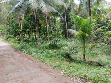 Dijual Tanah Murah View Sawah Dan Pegunungan Dekat Kampus Uny Wates