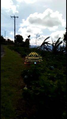 Tanah Jual Lokasi Gobleg
