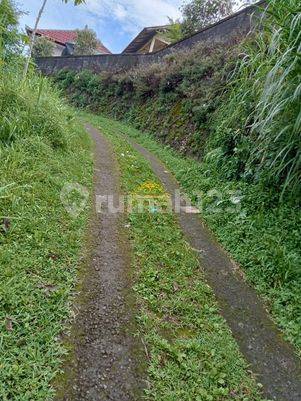 Tanah Jual Lokasi Gobleg