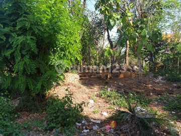Tanah Di Belimbing Sari Pecatu Cocok Untuk Villa Komersil