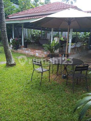 Rumah Favorite Patra Kuningan Bisa Untuk Kantor