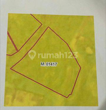 Dijual tanah kapling jalan raya cepaka Selingsing dekat tumbak bayuh dan Munggu 