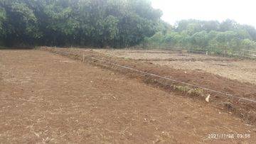 Dijual Tanah Kapling Rumpin Bogor 80 Juta an Free SHM