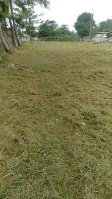 Lahan Industri di Citra Maja Raya, Tangerang SHM 1.550 m²
