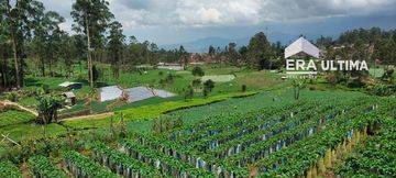Dijual Tanah Murah di Ciwidey, Bandung jarang ada