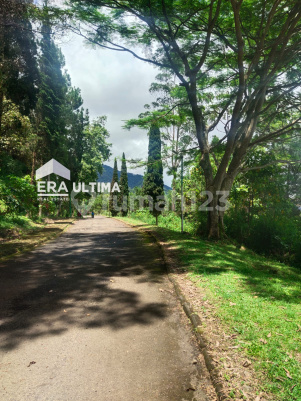 Dijual Tanah Murah di Ciwidey, Bandung jarang ada
