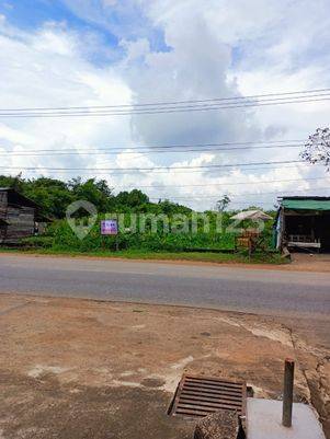 Tanah Strategis Tepi Jalan di Trans Kalimantan 