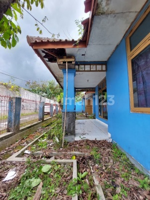 Rumah Di Ringroad Utara Yogyakarta Cocok Untuk Kos Kosan