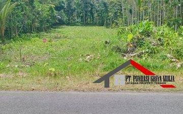 Etnik Jawa di Kulon Progo Dekat Bandara Yia View Pedesaan Asri