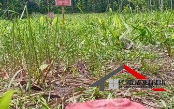 Etnik Jawa di Kulon Progo Dekat Bandara Yia View Pedesaan Asri