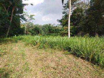 Di jual cepat tanah dekat istana presiden bali
