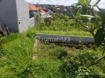5 are Land for lease in canggu padonan 