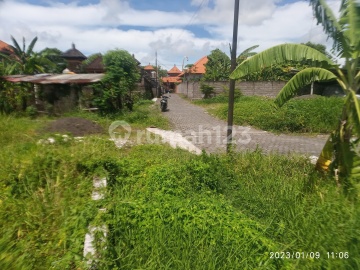5 are Land for lease in canggu padonan 