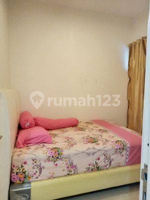 Disewakan Rumah 1lt Cluster Amaryllis Siap Huni my 