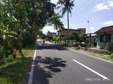 Tanah Dijual Dekat Pasar Muntilan, Lt 1500m2