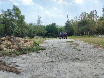 Dijual Tanah Sedayu, Lahan Rapih, Sertipikat SHM