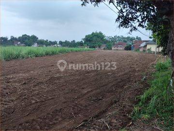 Dijual Tanah Sedayu, Lahan Rapih, Sertipikat SHM