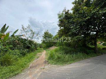 Tanah Cocok Untuk Cluster Perumahan Dekat Gua Maria Bukit Kanada