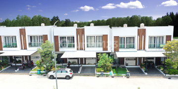 Green Bamboo Terrace