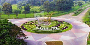 Harvest City