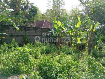 Tanah Kavling Lt M Di Argomulyo Cocok Dibangun Tempat Hunian Rumah