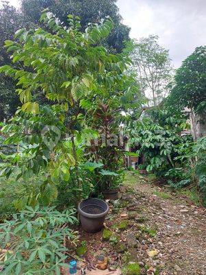 Tanah kosong lokasi tenang jalan lebar premium di Kebayoran Baru