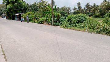 Tanah Sawah Samang Raya Dekat Kiec Dan Polsek Ciwandan