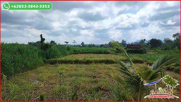 Pinggir Jalan 2,700 M2 Lahan Persawahan Dijual Murah