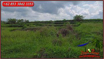 Tepi Pantai Dijual Murah Dgn Luas Lahan 3,300 M2 di Klungkung