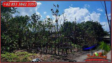 Murah Tepi Pantai, View Gunung, Sawah di Kusamba Klungkung