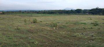 Dijual Tanah Di Pesisir Pantai Santolo Garut Cocok Dibangun Resort