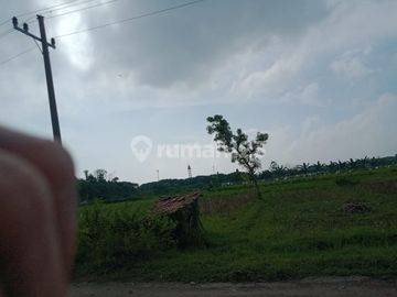 Dijual Tanah 35 Ha di Jalan Panturan Sarang Rembang Jawa Tengah